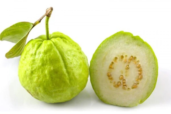 Guava