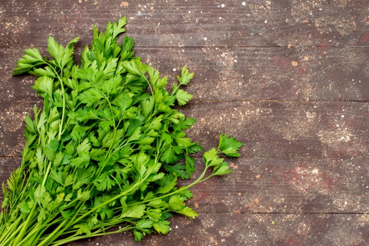 Coriander Leaves