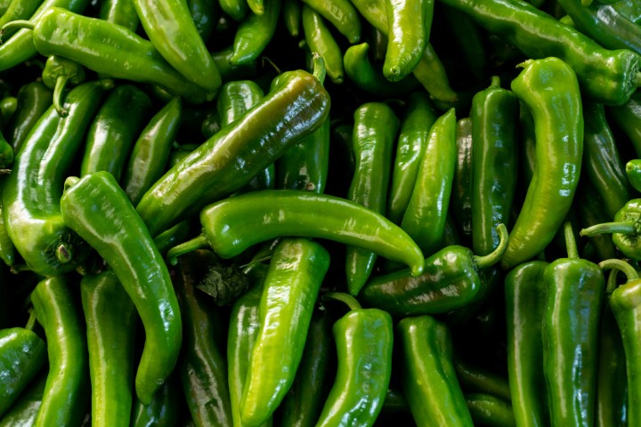 Green Chilli